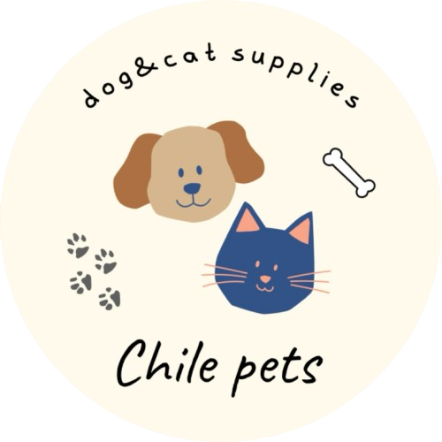 grocerystoresinchile.com