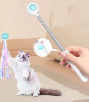 2-in-1 Extendable Laser Gravity Interactive Cat Toy