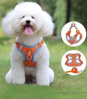 Adjustable Night Reflective Small Pet Harness Vest
