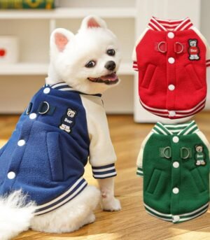 Wool baseball jacket - a warm clothing item
